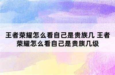 王者荣耀怎么看自己是贵族几 王者荣耀怎么看自己是贵族几级